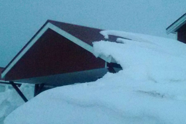 大雪による被害