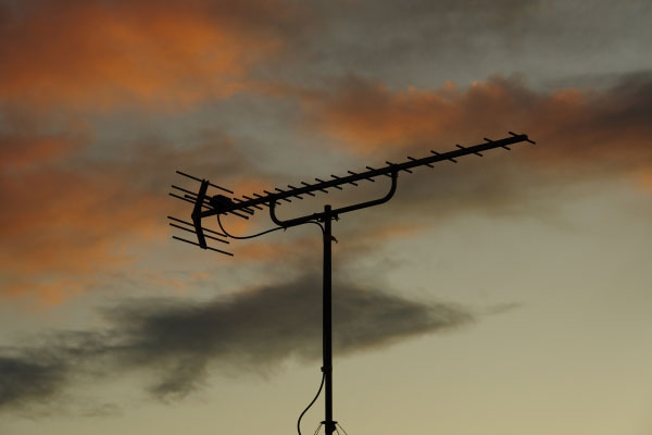 被害の箇所〜テレビアンテナ